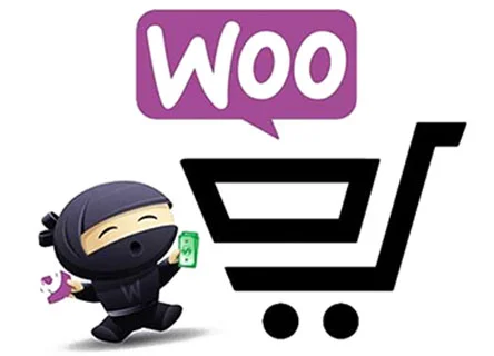 Custom WooCommerce Development Services